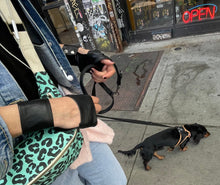Load image into Gallery viewer, Black Spring Leather Gloves